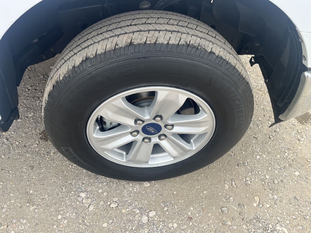 Ford F-150 XL 8-ft. Bed 2WD 2019 Ford F-150 XL 8-ft. Bed 2WD 2019