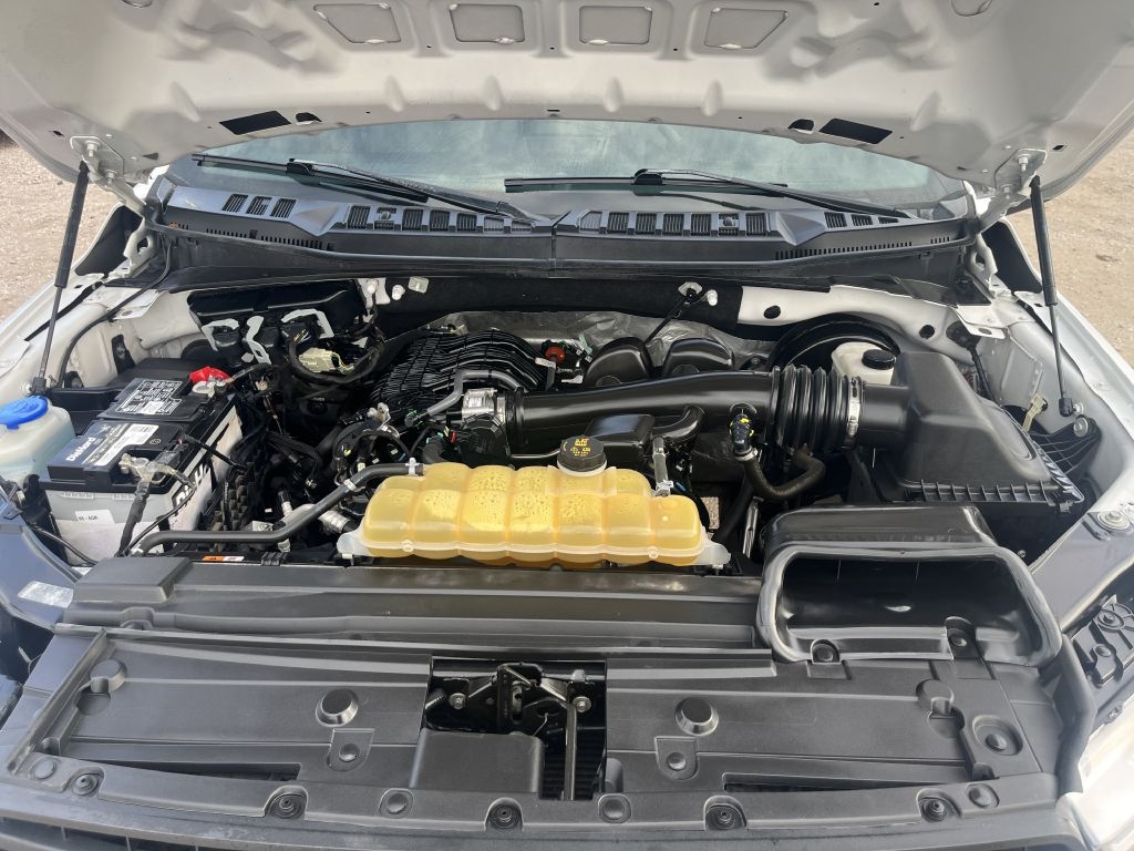 Ford F-150 XL 8-ft. Bed 2WD 2019 Ford F-150 XL 8-ft. Bed 2WD 2019