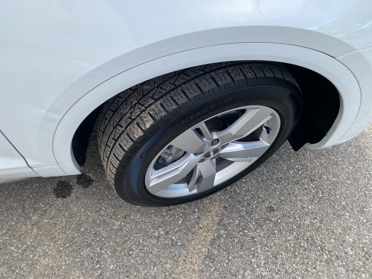 2019 Audi Q5 Premium Plus photo 18
