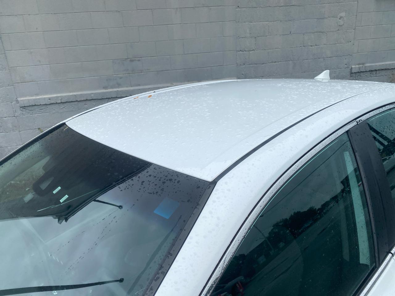 Toyota Camry XLE 2019