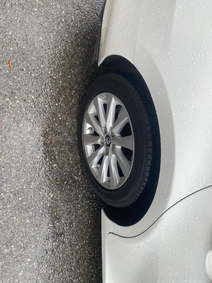 Toyota Camry XLE 2019