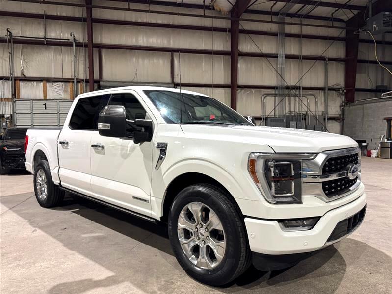 2022 Ford F-150 Platinum photo 2