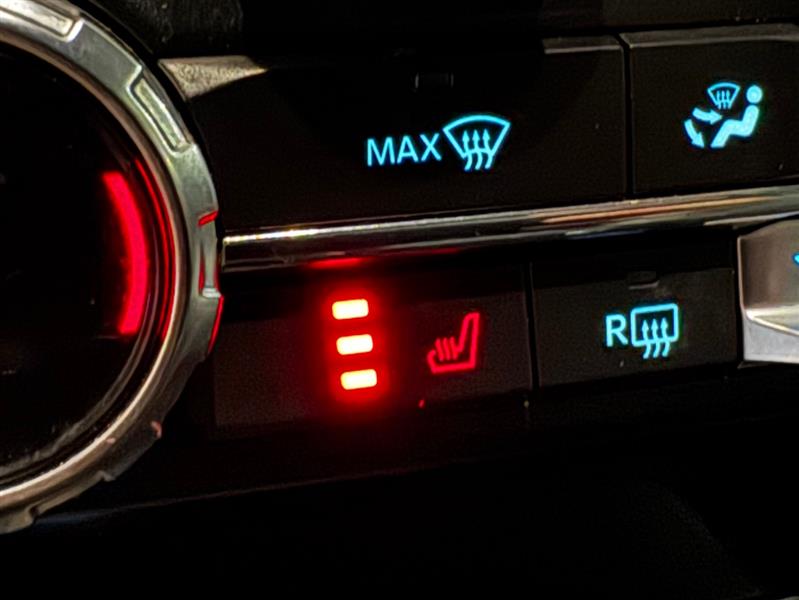 Ford F-150 XLT SuperCrew 6.5-ft. Bed 2WD 2022