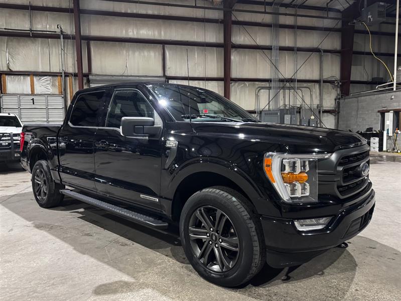 Ford F-150 XLT SuperCrew 5.5-ft. Bed 4WD 2022