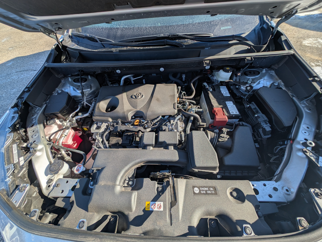 Toyota RAV4 XLE AWD (Natl) 2024