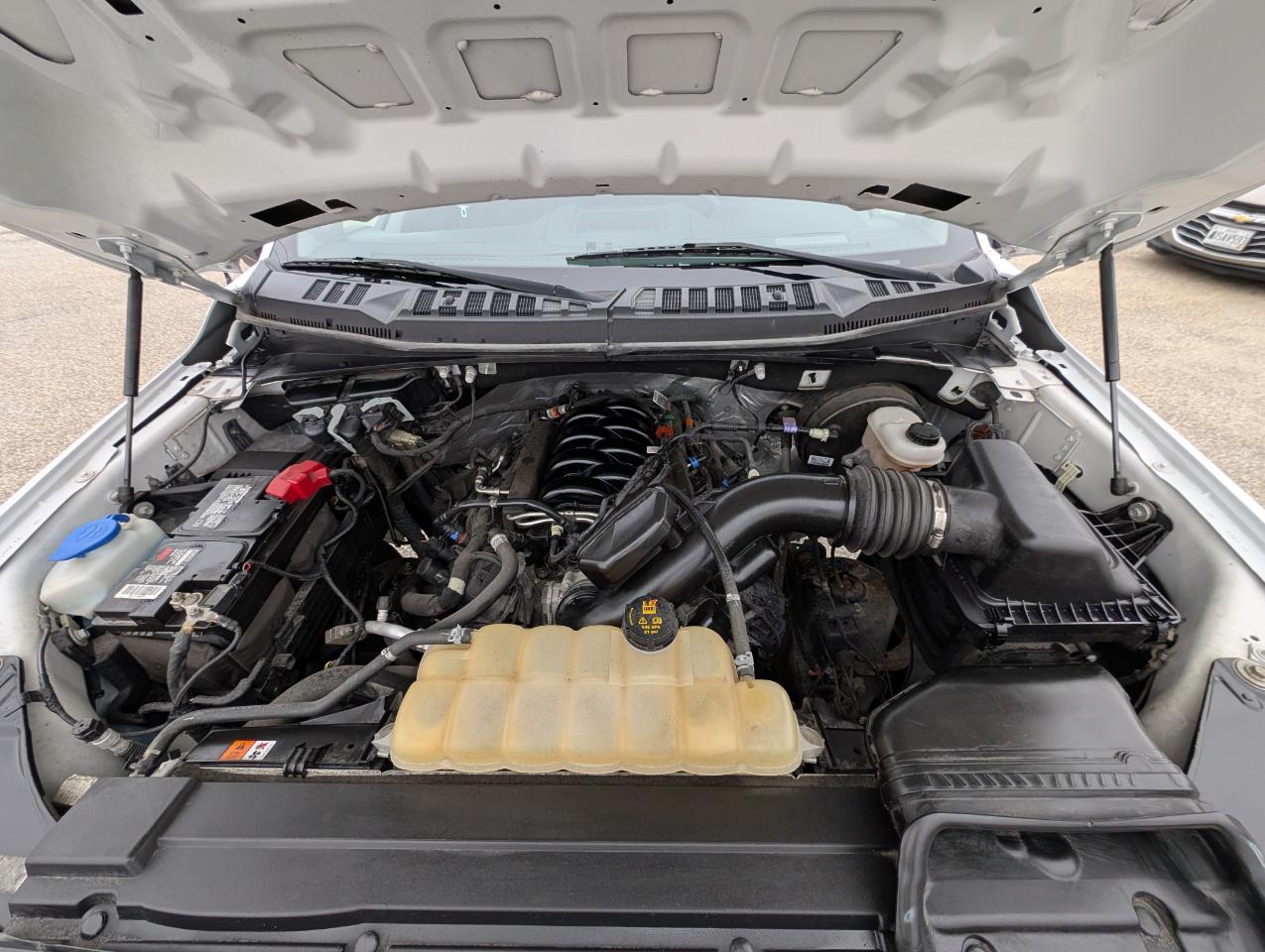 Ford F-150 XL 2WD Reg Cab 8' Box 2019