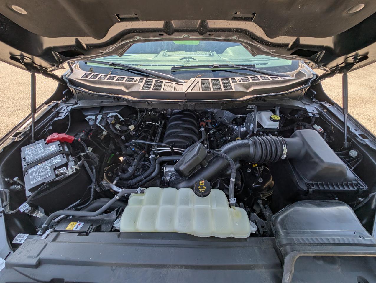 Ford F-150 XLT 4WD SuperCrew 5.5' Box 2025