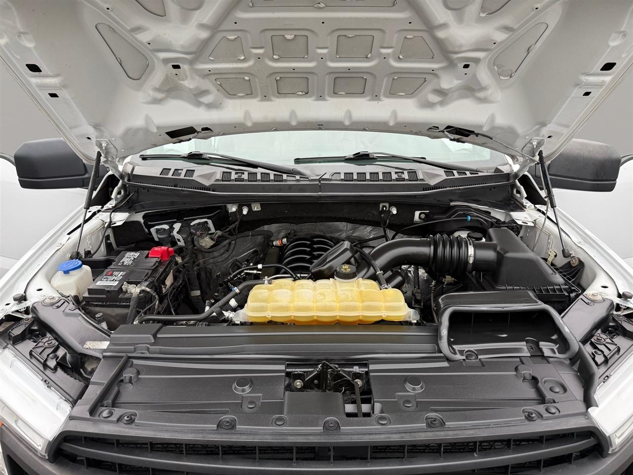 Ford F-150 XL 4WD SuperCrew 5.5' Box 2019