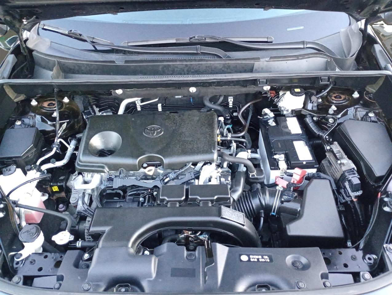 Toyota RAV4 XLE AWD (Natl) 2021