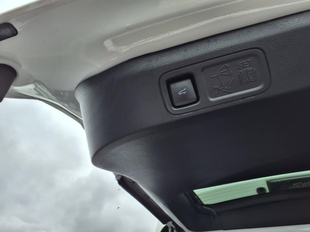 Ford Expedition  2021 Ford Expedition  2021