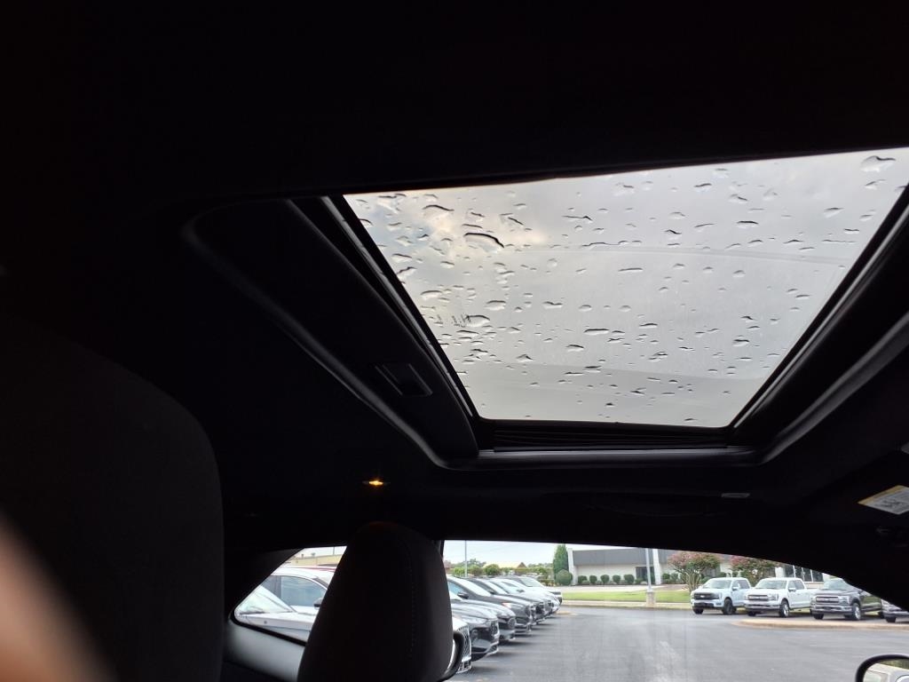 Dodge Challenger  2023 Dodge Challenger  2023