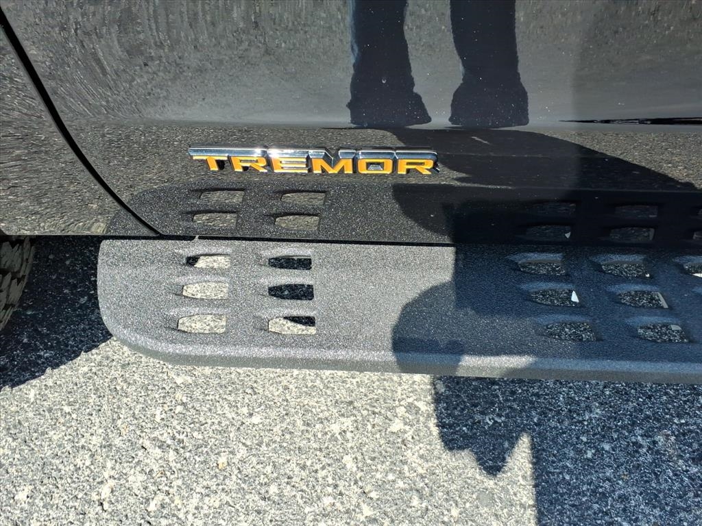 Ford Expedition  2025