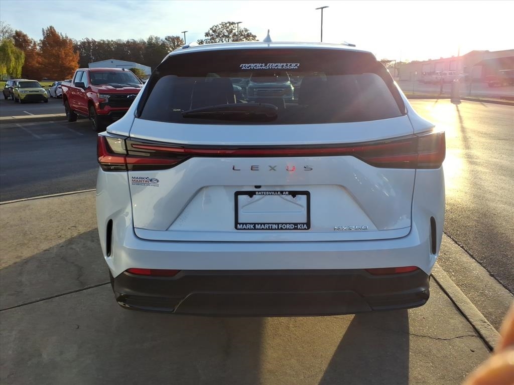 Lexus NX  2025
