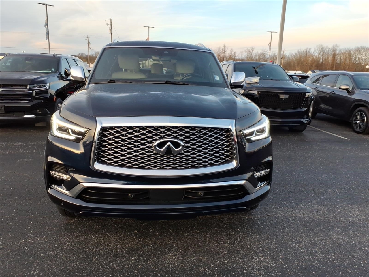Infiniti QX80  2023
