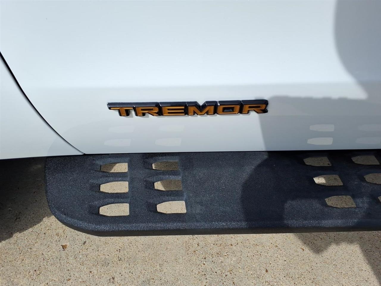 Ford Expedition  2025