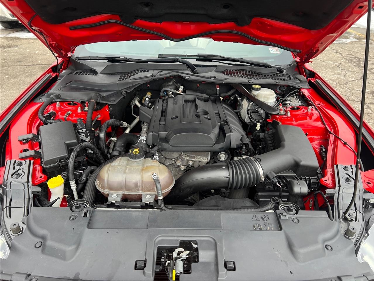 Ford Mustang EcoBoost Premium Convertible 2019