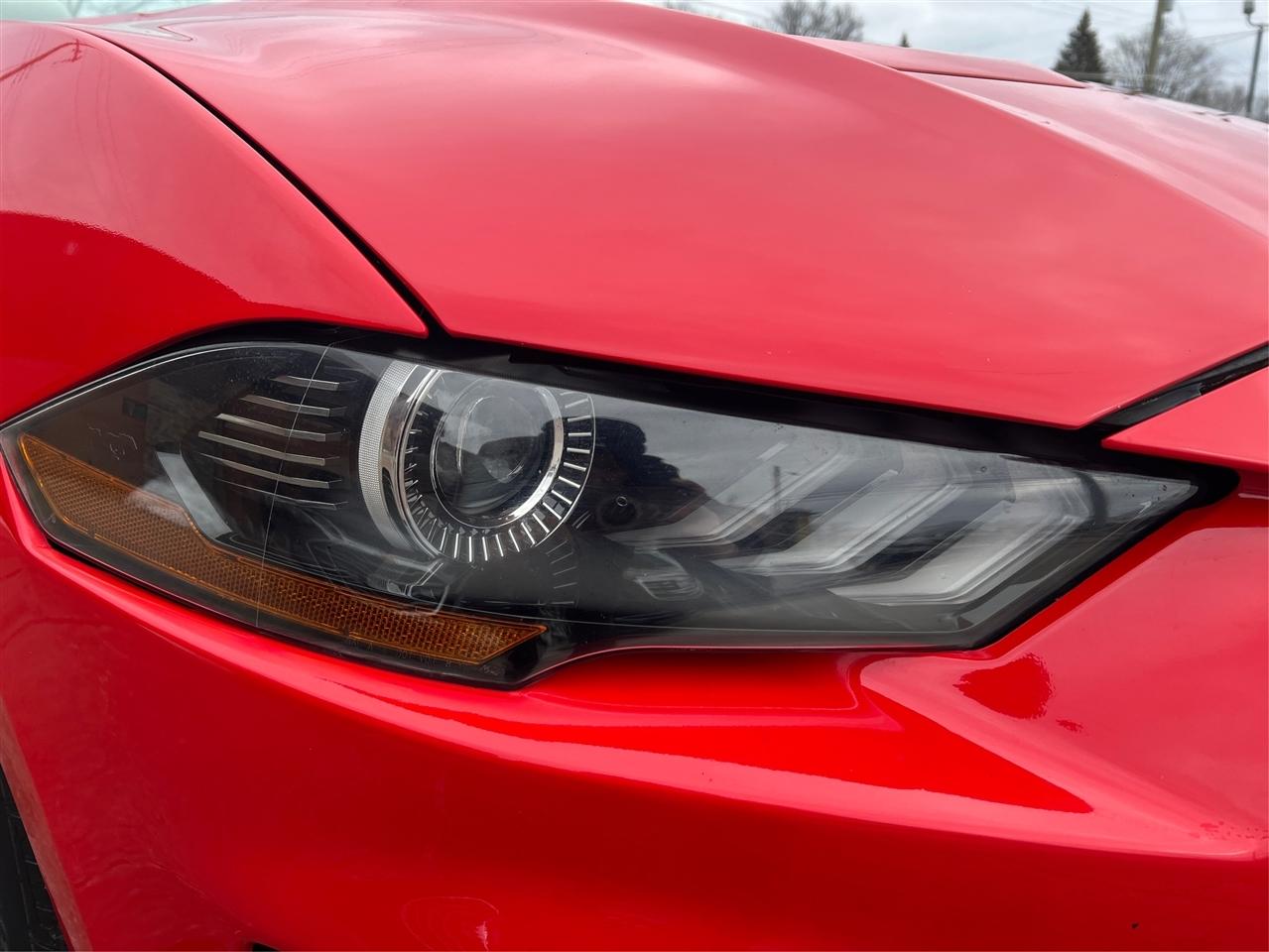 Ford Mustang EcoBoost Premium Convertible 2019