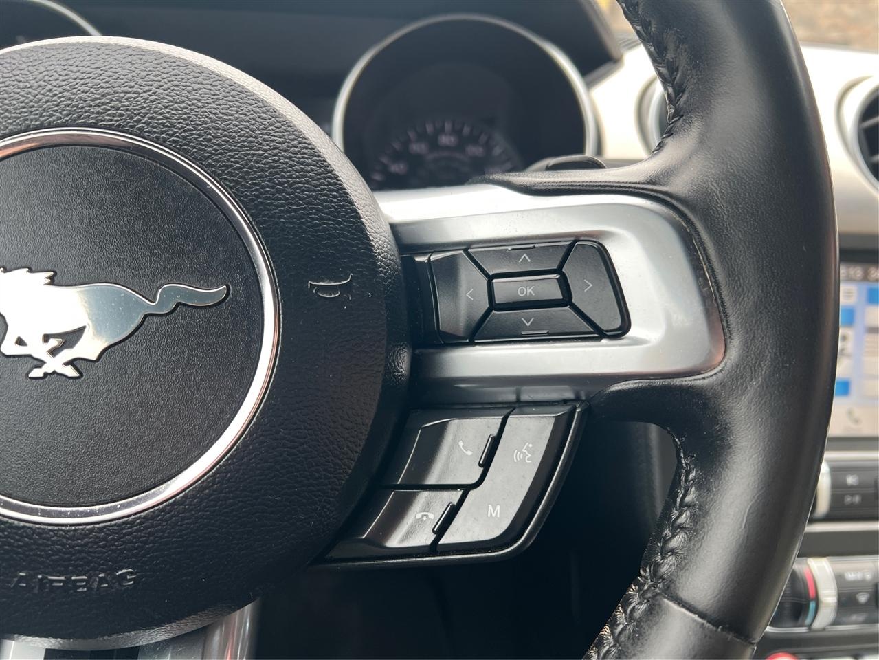 Ford Mustang EcoBoost Premium Convertible 2019