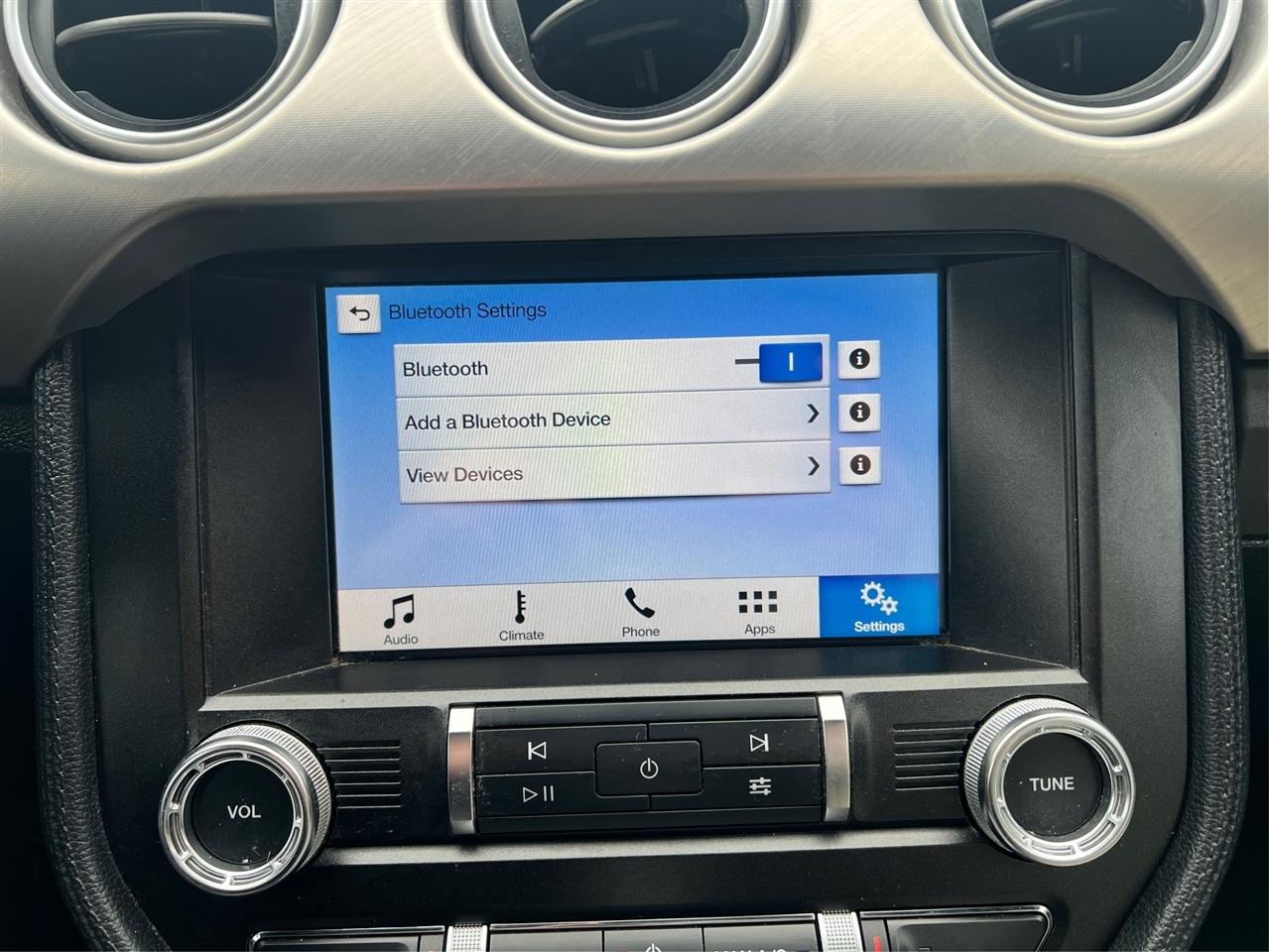 Ford Mustang EcoBoost Premium Convertible 2019