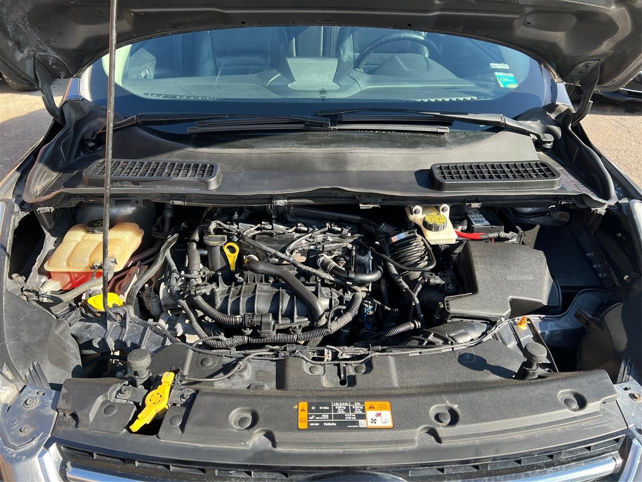 Ford Escape 4WD 4dr SEL 2013