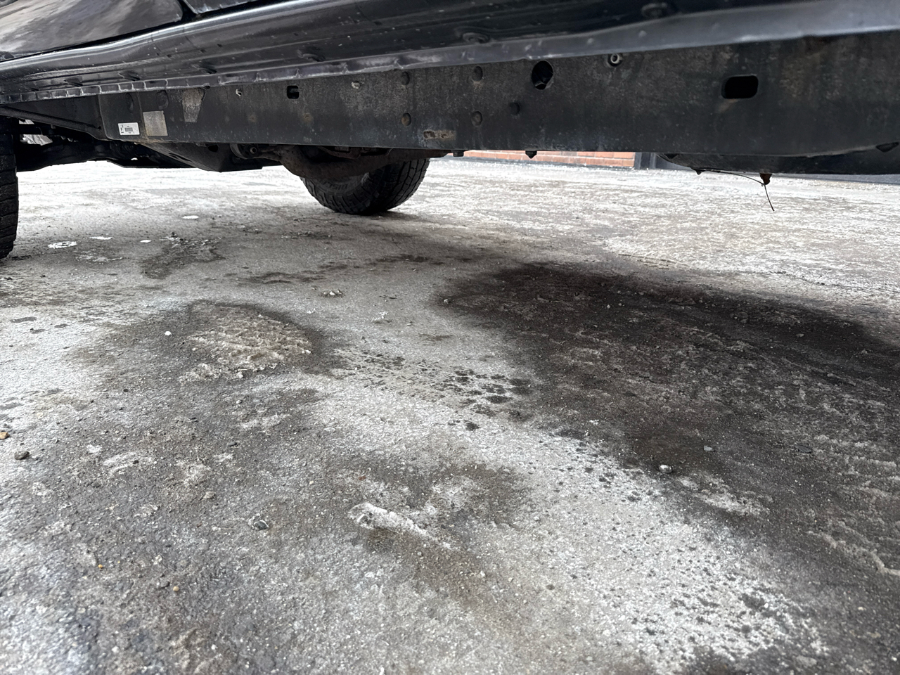 Toyota Tacoma Access Cab V6 4WD 2009