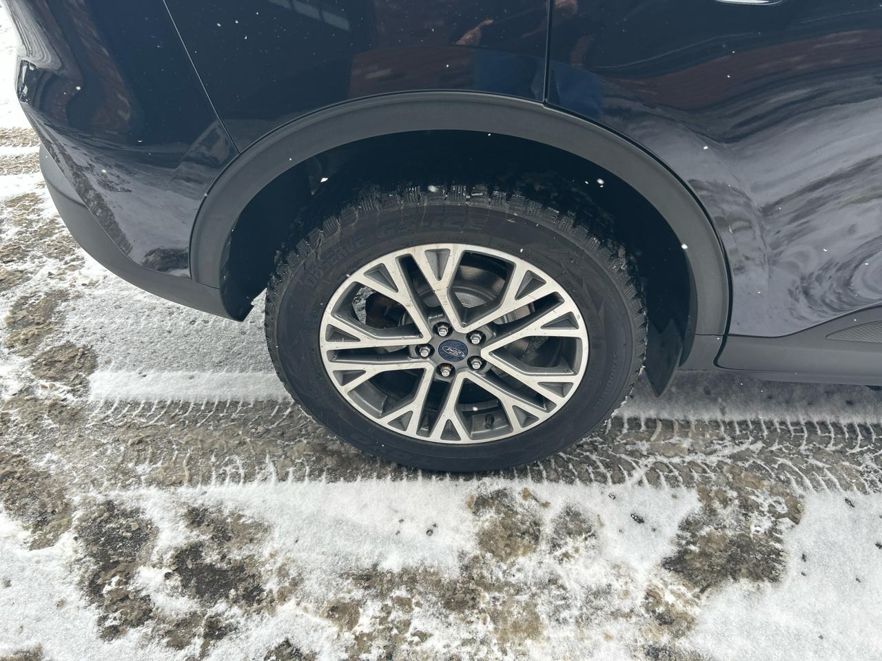 Ford Escape Hybrid SEL AWD 2021