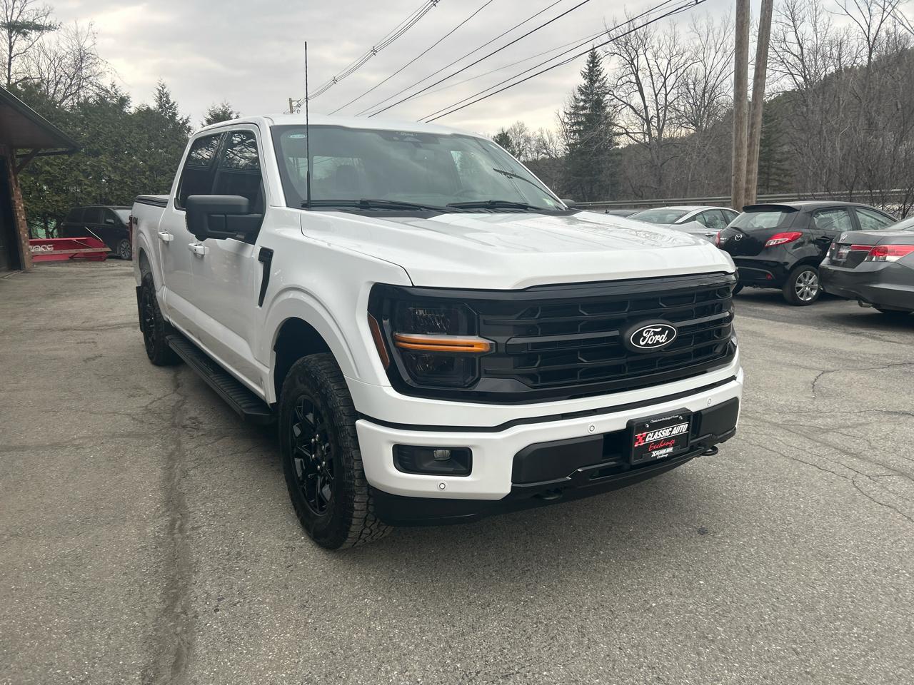 Ford F-150 XLT SuperCrew 4WD 2025