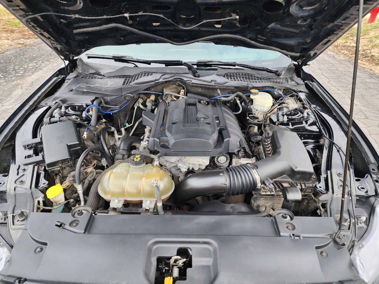 Ford Mustang Eco Premium 2D Coupe 2016