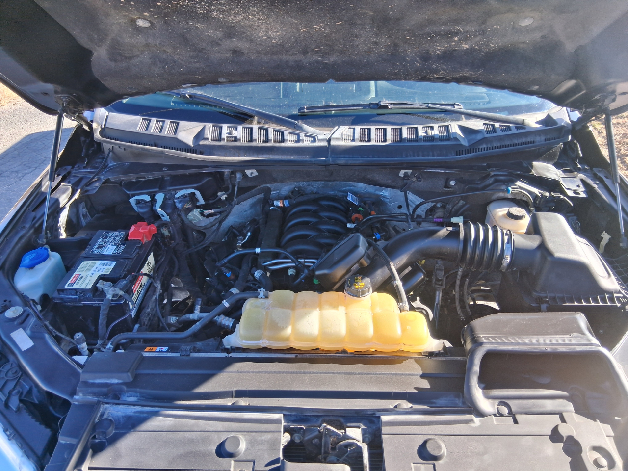 Ford F-150 XLT SuperCrew 6.5-ft. Bed 4WD 2020