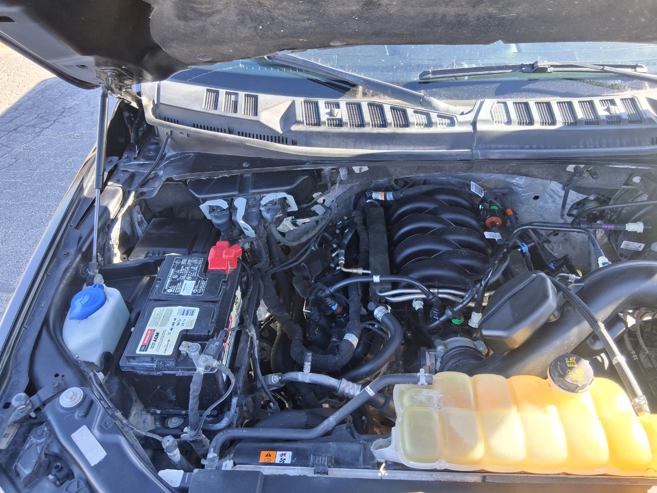 Ford F-150 XLT SuperCrew 6.5-ft. Bed 4WD 2020