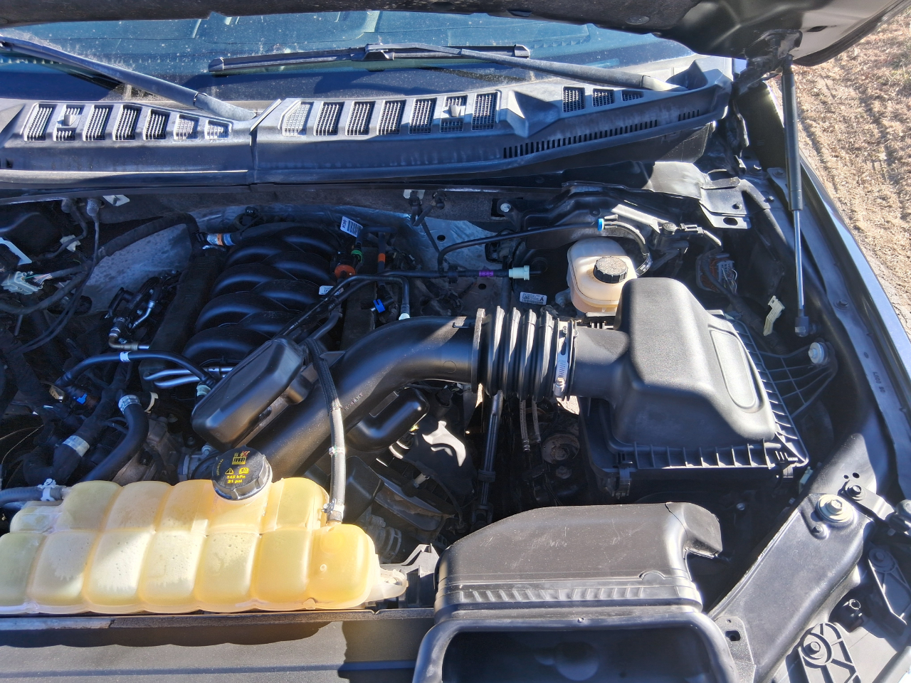 Ford F-150 XLT SuperCrew 6.5-ft. Bed 4WD 2020