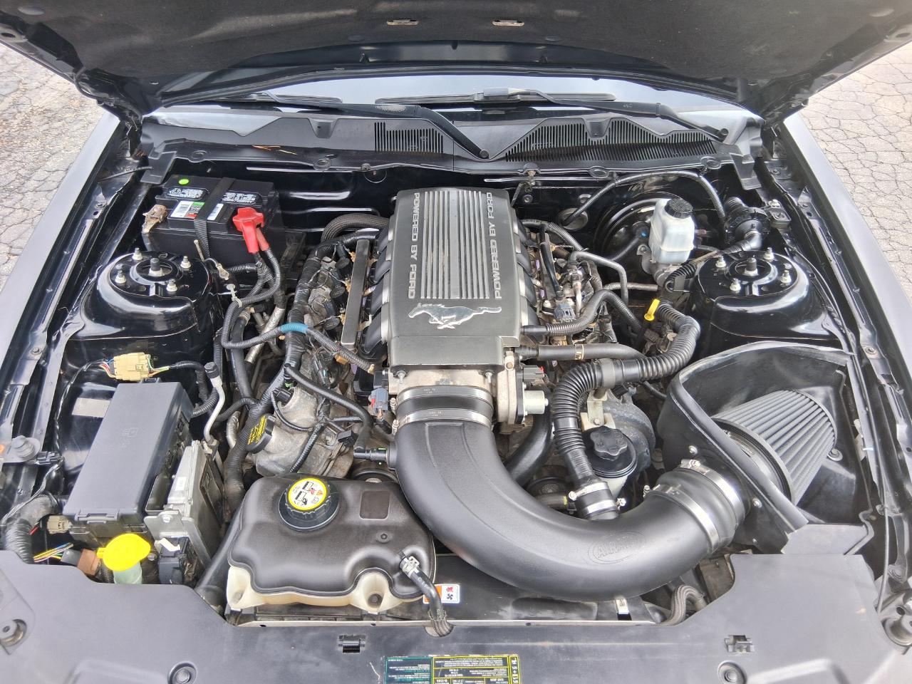 Ford Mustang GT Coupe 2010