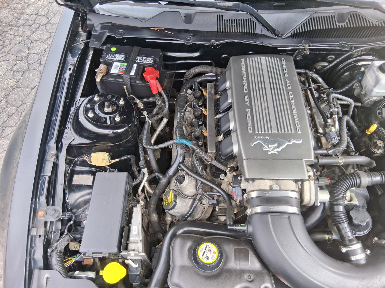 Ford Mustang GT Coupe 2010