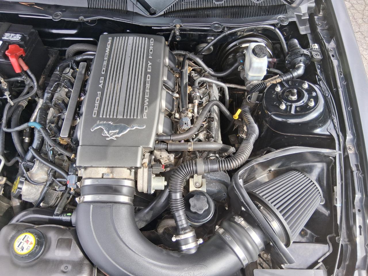 Ford Mustang GT Coupe 2010