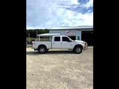 2015 Ford Super Duty F-250 SRW  2015 Ford Super Duty F-250 SRW