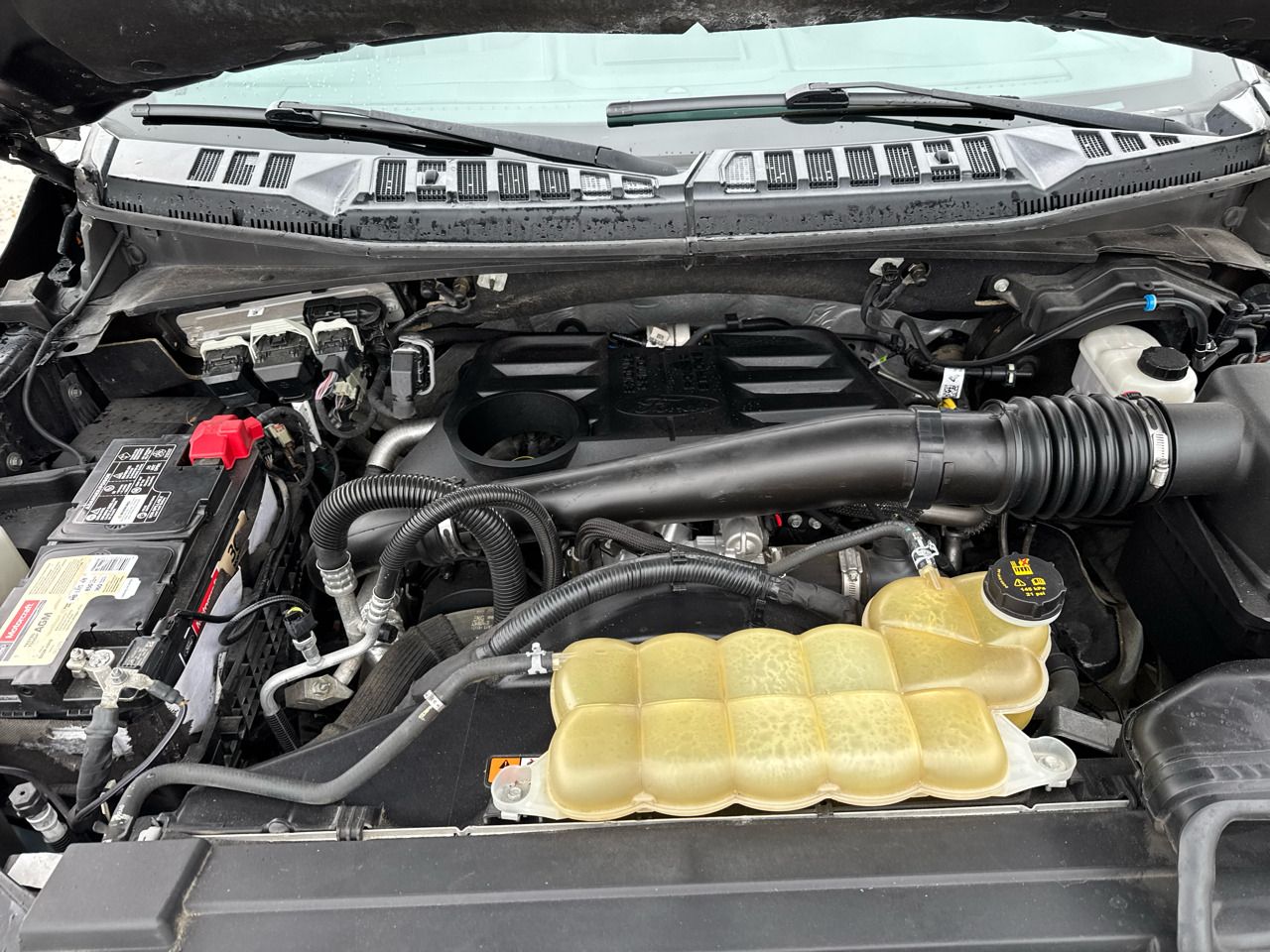 Ford F-150 Platinum SuperCrew 5.5-ft. Bed 4WD 2019