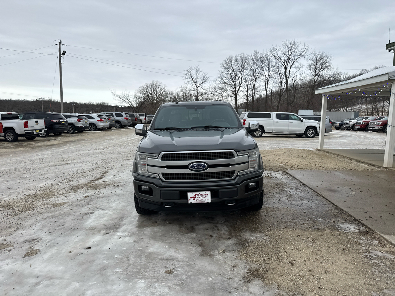 Ford F-150 Platinum SuperCrew 5.5-ft. Bed 4WD 2019