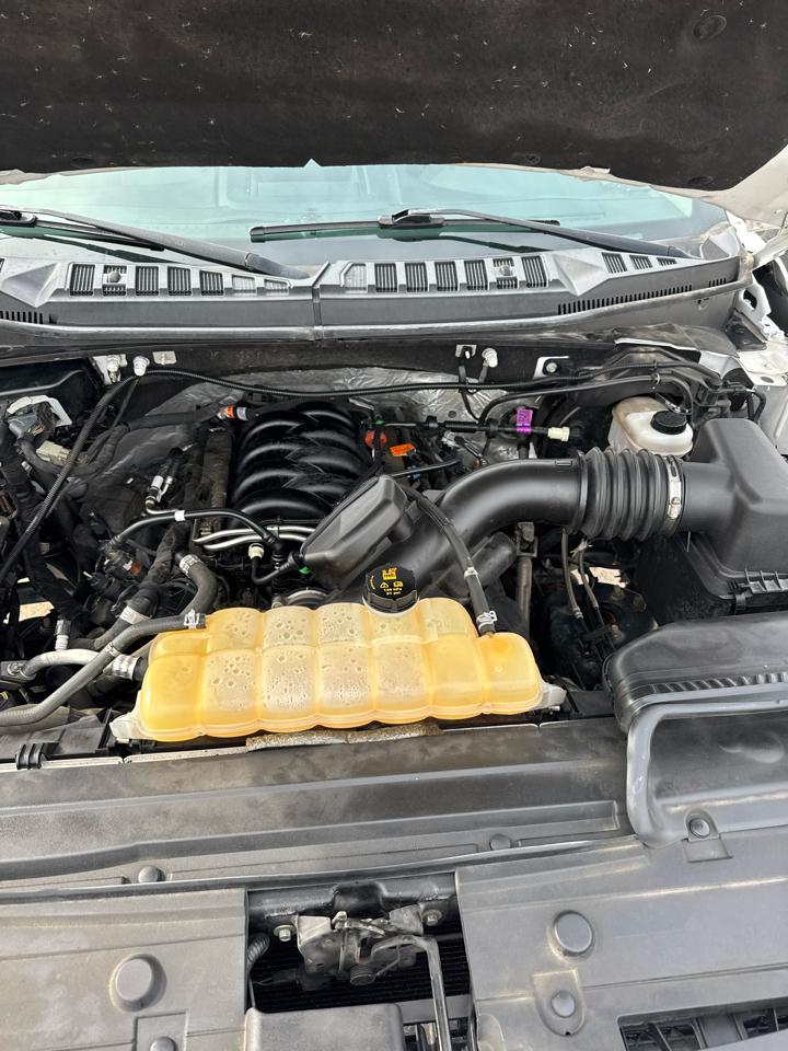 Ford F-150 XLT 4WD SuperCrew 5.5' Box 2018