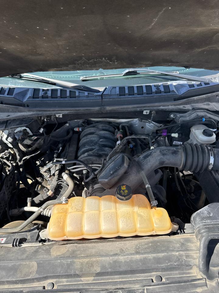 Ford F-150 XLT 4WD SuperCrew 5.5' Box 2018