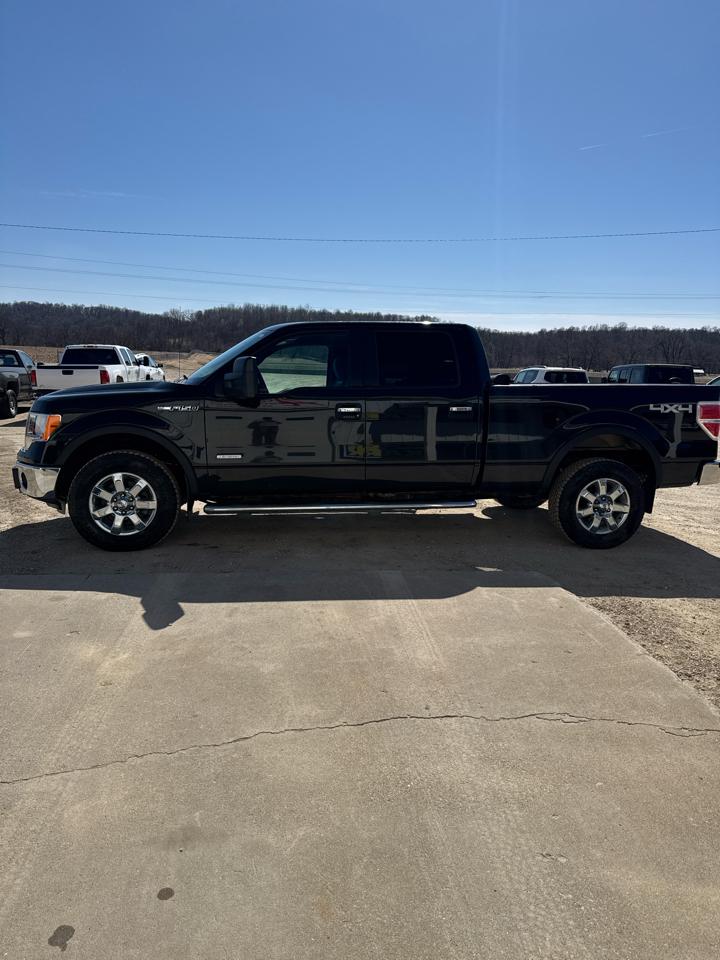 Ford F-150 XLT 4WD SuperCrew 6.5' Box 2013