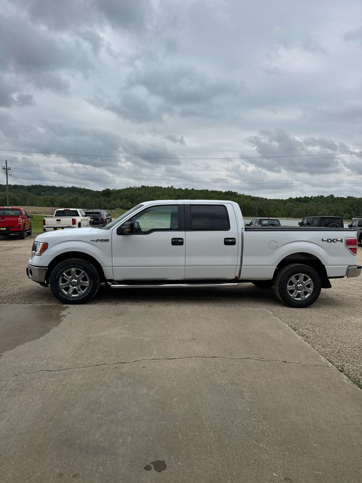 Ford F-150 XLT SuperCrew 6.5-ft. Bed 4WD 2014