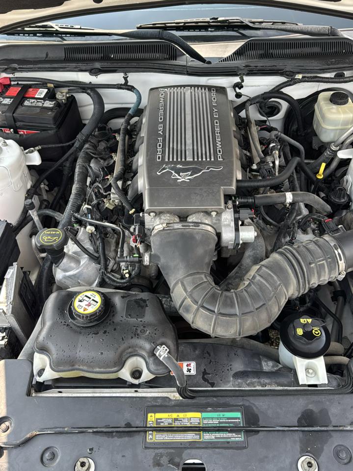 Ford Mustang 2dr Cpe GT Deluxe 2007