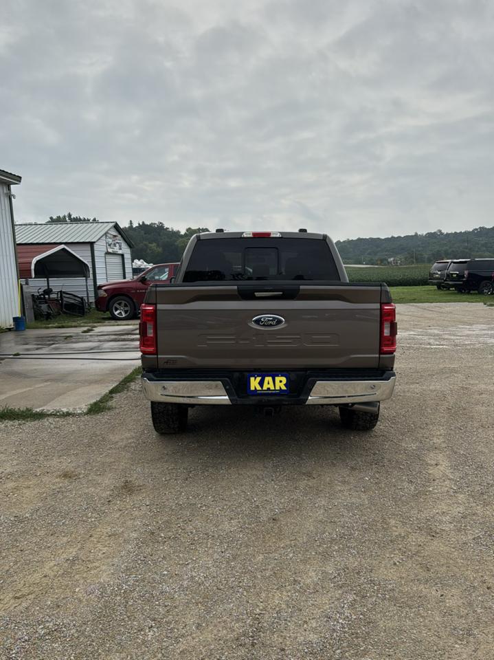 Ford F-150 XLT SuperCrew Short Box 4WD 2023