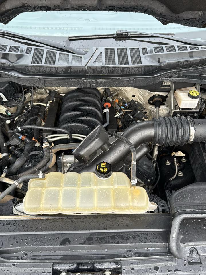 Ford F-150 XLT SuperCrew Short Box 4WD 2023