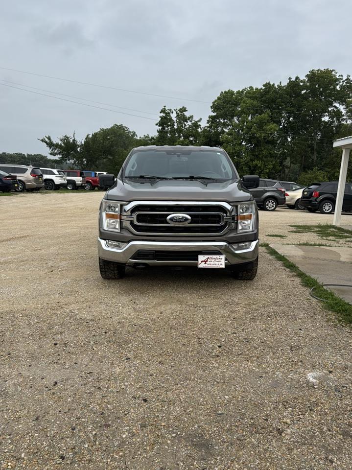Ford F-150 XLT SuperCrew Short Box 4WD 2023