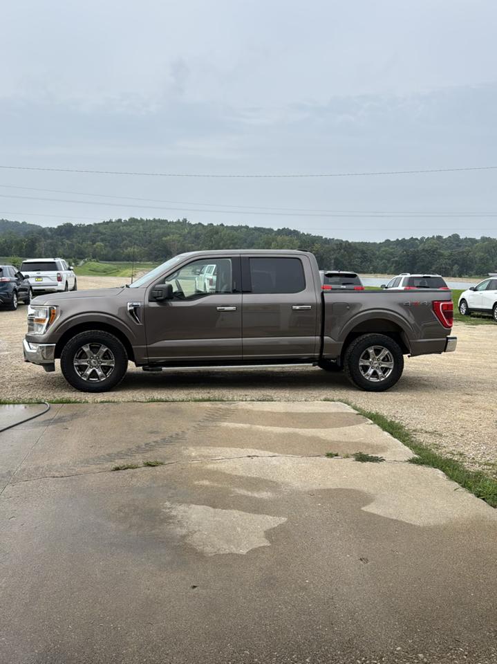 Ford F-150 XLT SuperCrew Short Box 4WD 2023
