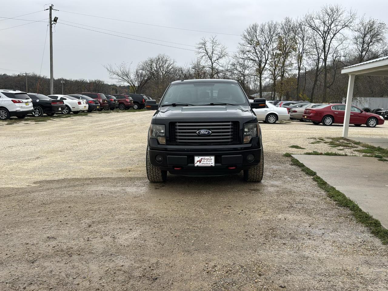 Ford F-150 FX4 SuperCrew 5.5-ft. Bed 4WD 2011