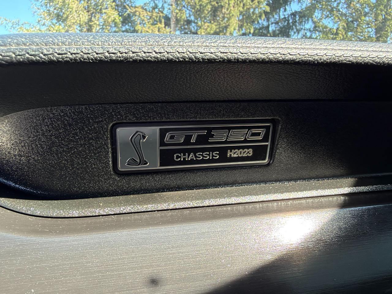 Ford Mustang photo 11