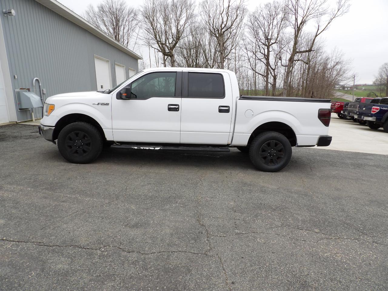 Ford F-150 XLT SuperCrew 6.5-ft. Bed 4WD 2012