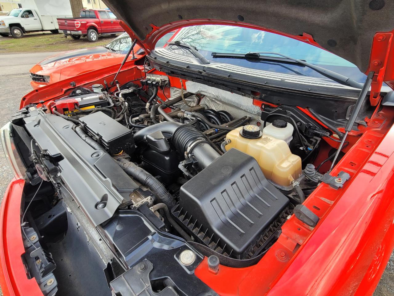 Ford F-150 XLT SuperCrew 6.5-ft. Bed 4WD 2013